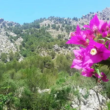 Agroturismo Balitx D'avall