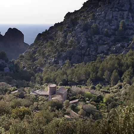 Agroturismo Balitx D'avall Pensión Fornalutx