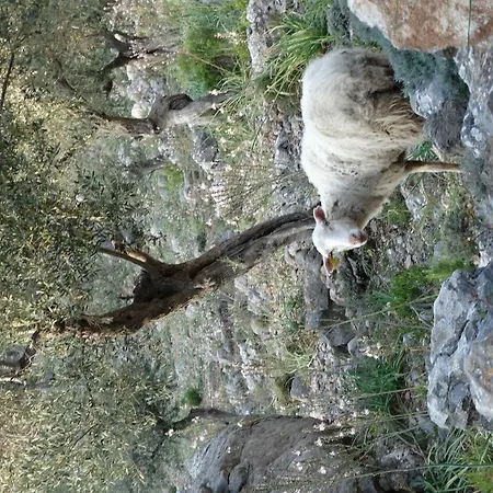Agroturismo Balitx D'avall