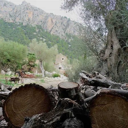 Agroturismo Balitx D'avall *